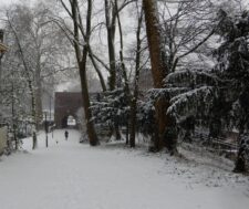 Zocherpark in de buurt van Ledig Erf