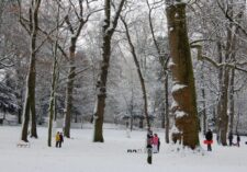 Sneeuw in het Wilhelminapark