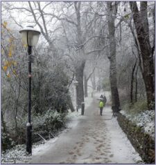 Besneeuwd Zocherpark met wandelaar