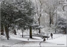 Man met hondje in de sneeuw in het Zocherpark