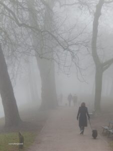 Wandelaars in mistig Zocherpark