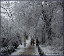 Wandelaars in besneeuwd Zocherpark